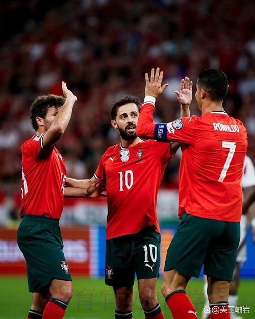 最新世界杯巴西C罗晋级分析完整指南